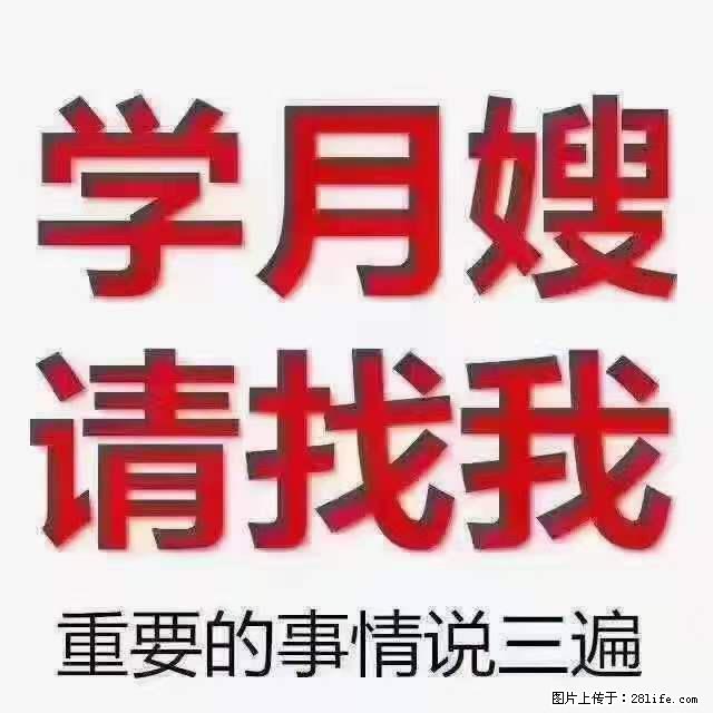 为什么要学习月嫂,育婴师? - 其他广告 - 广告专区 - 镇江分类信息 - 镇江28生活网 zj.28life.com