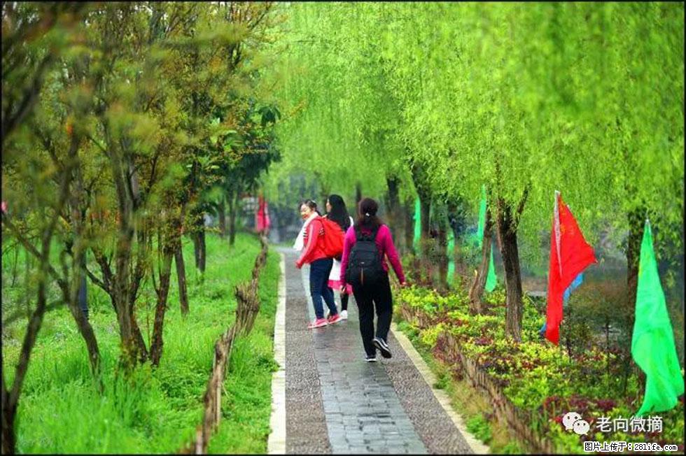 【春天,广西桂林灌阳县向您发出邀请!】江口老街又逢春 - 游山玩水 - 镇江生活社区 - 镇江28生活网 zj.28life.com