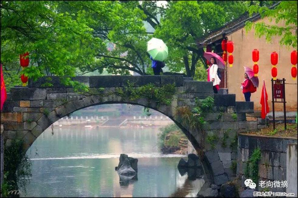 【春天,广西桂林灌阳县向您发出邀请!】江口老街又逢春 - 游山玩水 - 镇江生活社区 - 镇江28生活网 zj.28life.com