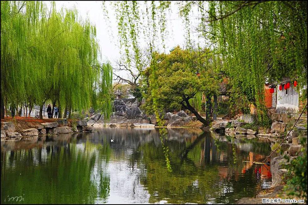 【春天,广西桂林灌阳县向您发出邀请!】江口老街又逢春 - 游山玩水 - 镇江生活社区 - 镇江28生活网 zj.28life.com