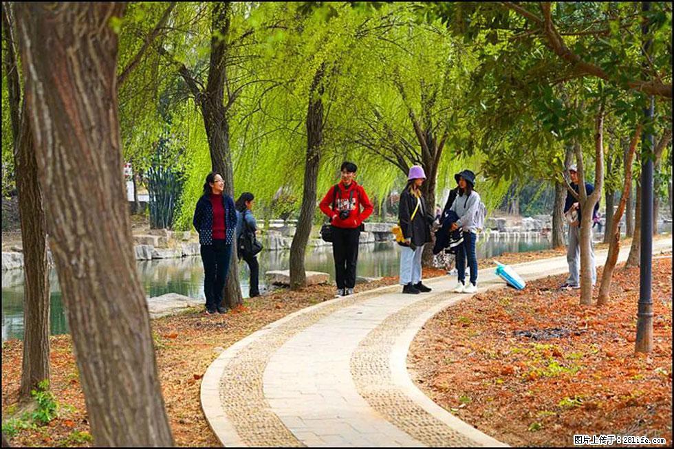 【春天,广西桂林灌阳县向您发出邀请!】江口老街又逢春 - 游山玩水 - 镇江生活社区 - 镇江28生活网 zj.28life.com
