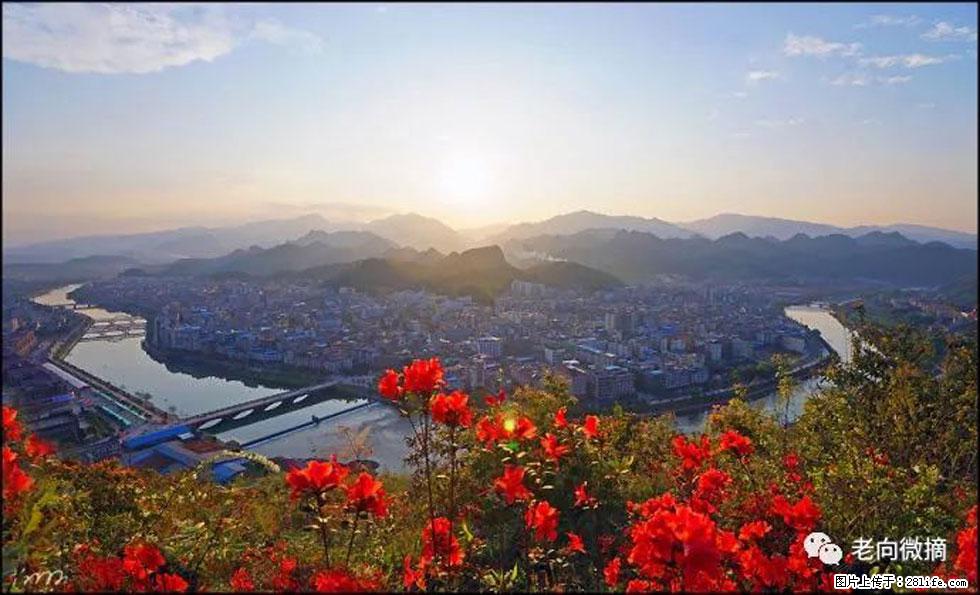 【春天,广西桂林灌阳县向您发出邀请!】登麒麟山,相约映山红 - 游山玩水 - 镇江生活社区 - 镇江28生活网 zj.28life.com