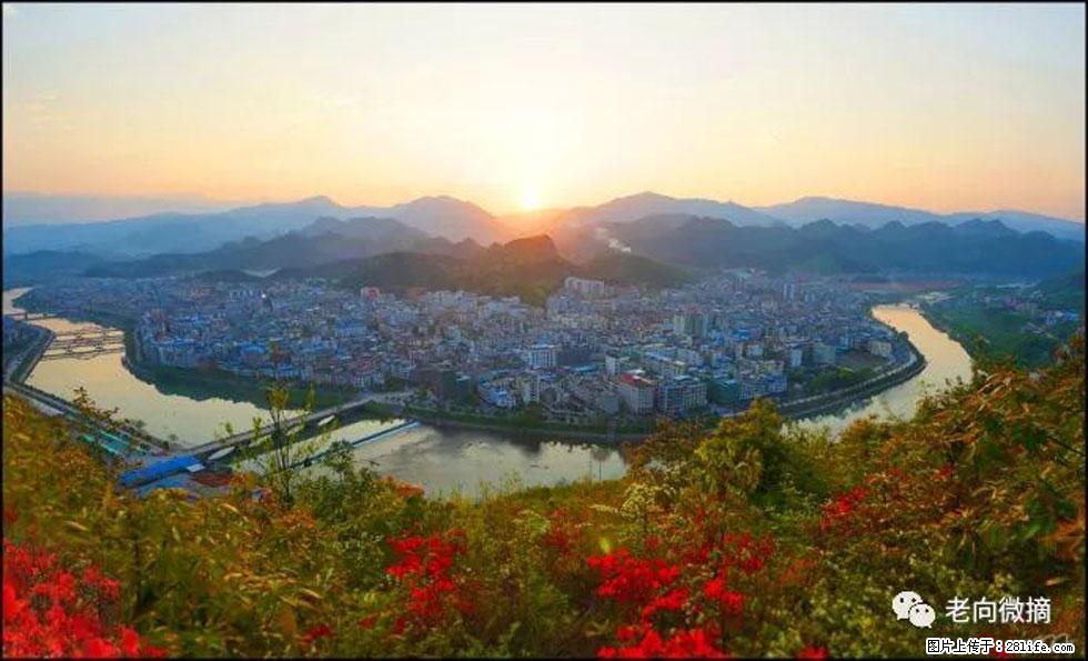 【春天,广西桂林灌阳县向您发出邀请!】登麒麟山,相约映山红 - 游山玩水 - 镇江生活社区 - 镇江28生活网 zj.28life.com