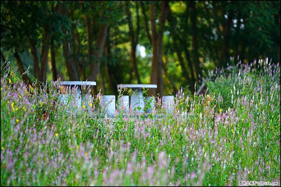 【春天，广西桂林灌阳县向您发出邀请！】熊家寨湿地公园 - 游山玩水 - 镇江生活社区 - 镇江28生活网 zj.28life.com