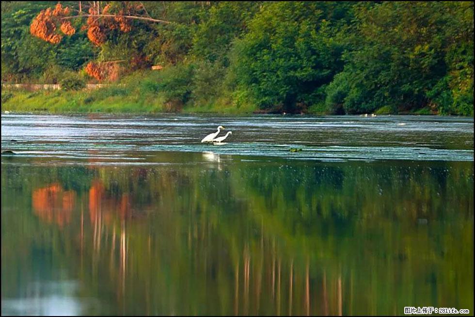 【春天，广西桂林灌阳县向您发出邀请！】熊家寨湿地公园 - 游山玩水 - 镇江生活社区 - 镇江28生活网 zj.28life.com