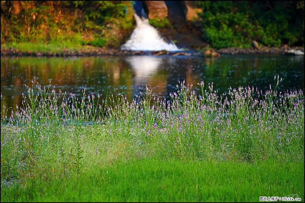 【春天，广西桂林灌阳县向您发出邀请！】熊家寨湿地公园 - 游山玩水 - 镇江生活社区 - 镇江28生活网 zj.28life.com