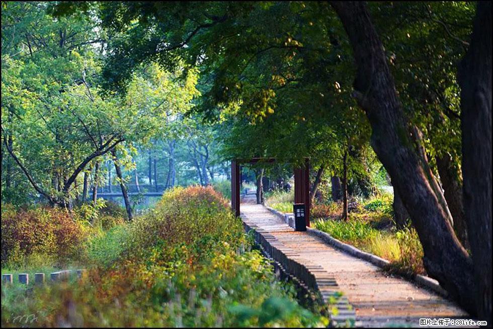 【春天，广西桂林灌阳县向您发出邀请！】熊家寨湿地公园 - 游山玩水 - 镇江生活社区 - 镇江28生活网 zj.28life.com