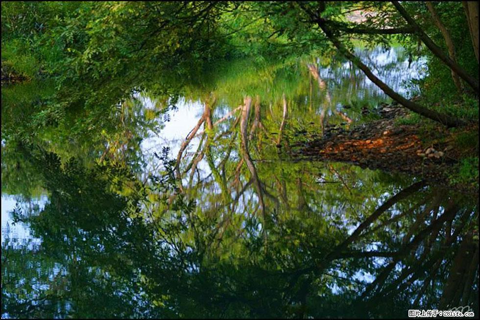 【春天，广西桂林灌阳县向您发出邀请！】熊家寨湿地公园 - 游山玩水 - 镇江生活社区 - 镇江28生活网 zj.28life.com