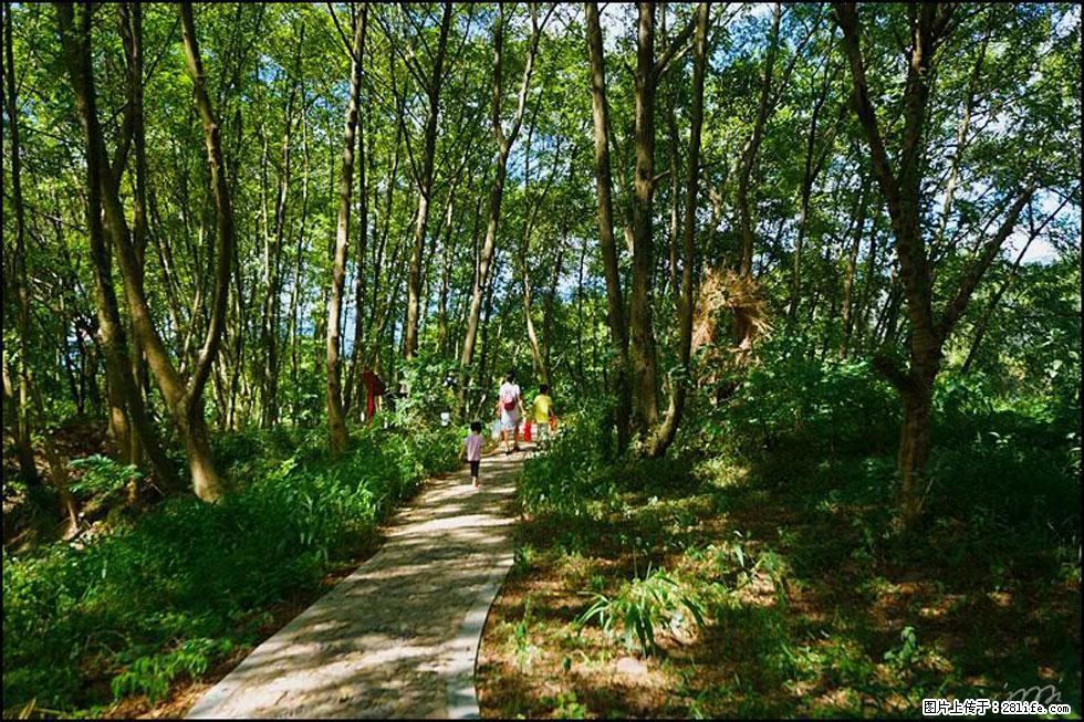 【春天，广西桂林灌阳县向您发出邀请！】熊家寨湿地公园 - 游山玩水 - 镇江生活社区 - 镇江28生活网 zj.28life.com