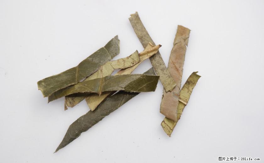 苦丁茶有哪些功效和作用 - 生活百科 - 镇江生活社区 - 镇江28生活网 zj.28life.com