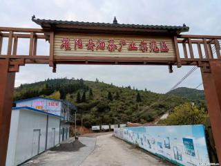 【灌阳县油茶产业示范区】一个有着充实的精神生活的人，对待身外之物自会有一种淡泊的态度 - 镇江28生活网 zj.28life.com