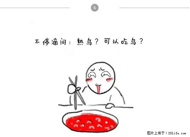 千万不要和这9种哈卵一起吃火锅! - 美食天地 - 镇江生活社区 - 镇江28生活网 zj.28life.com
