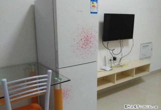 城内金元商贸城精装南向单身公寓，设施一应俱全 - 镇江28生活网 zj.28life.com