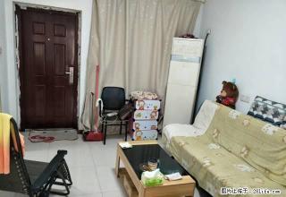 金山水城四区二楼新装修二室朝南设施齐全拎包入住价可议。 - 镇江28生活网 zj.28life.com