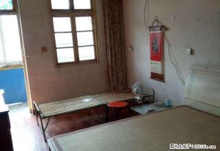 全自动洗衣机,液晶电视,设施齐全,拎包入住 - 镇江28生活网 zj.28life.com