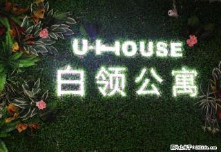 有间屋白领公寓 大市口 国际饭店相邻 精装修 押一付一 - 镇江28生活网 zj.28life.com