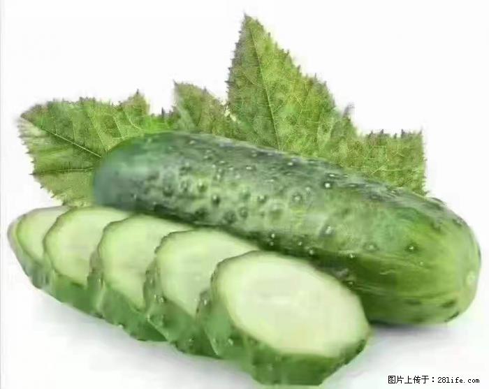 【生活小常识】吃黄瓜的好处 - 生活百科 - 镇江生活社区 - 镇江28生活网 zj.28life.com