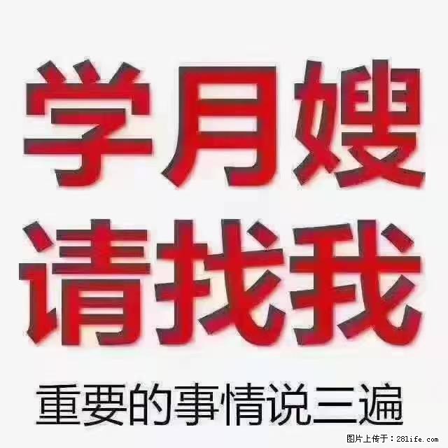 【招聘】月嫂,上海徐汇区 - 其他招聘信息 - 招聘求职 - 镇江分类信息 - 镇江28生活网 zj.28life.com