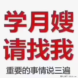 【招聘】月嫂,上海徐汇区 - 镇江28生活网 zj.28life.com