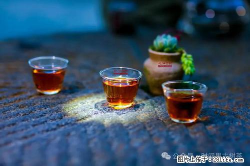 时间果百年古树2025年春红茶 - 购物交流 - 镇江生活社区 - 镇江28生活网 zj.28life.com