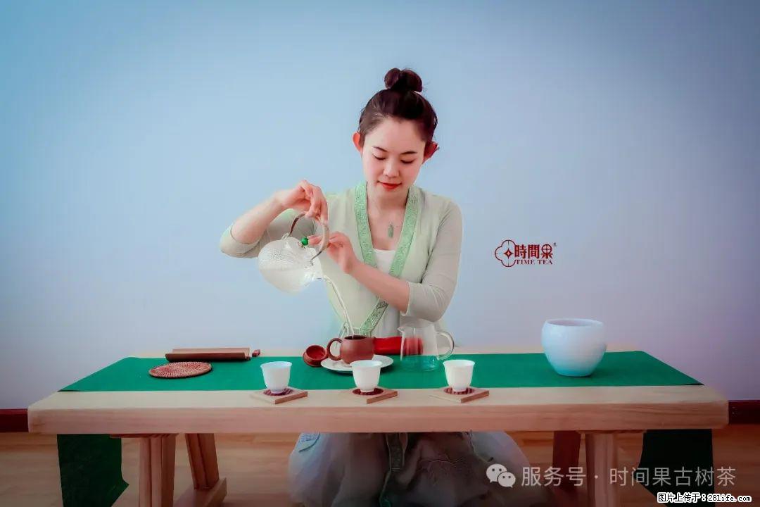 时间果百年古树龙珠普洱生茶 - 购物交流 - 镇江生活社区 - 镇江28生活网 zj.28life.com