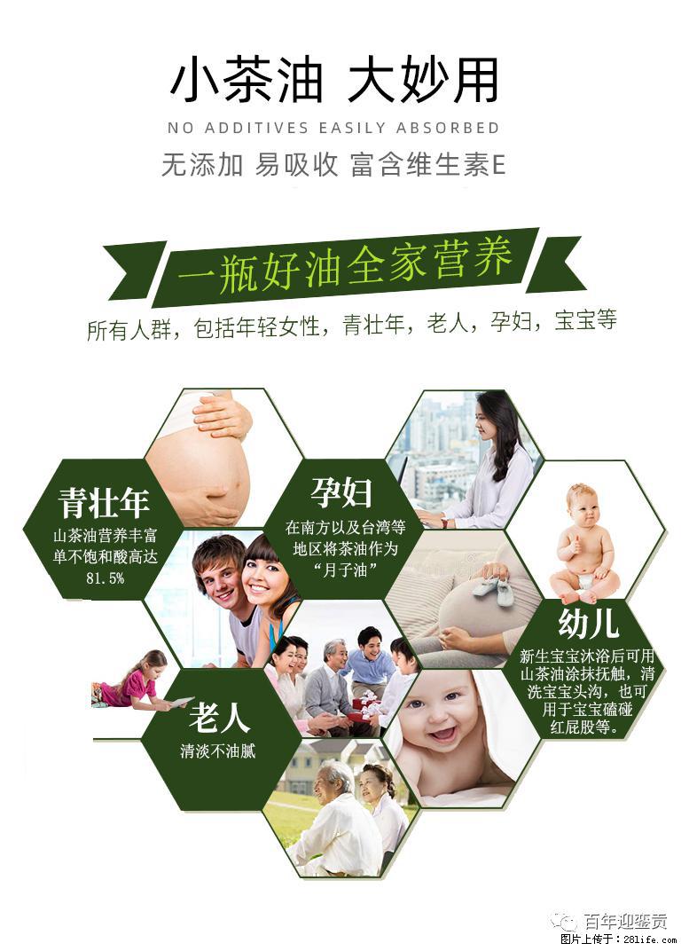 世界没有真相,只有认知,最好的食用油是中国的山茶油! - 镇江生活资讯 - 镇江28生活网 zj.28life.com