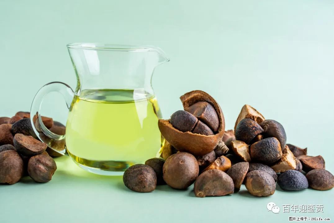 世界没有真相，只有认知，最好的食用油是中国的山茶油！ - 镇江生活资讯 - 镇江28生活网 zj.28life.com