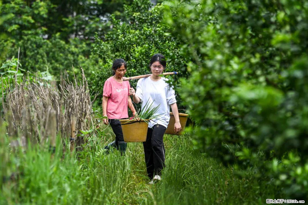 全网追的“扁担女孩”,找了一份暑假工,时薪12元 - 镇江生活资讯 - 镇江28生活网 zj.28life.com