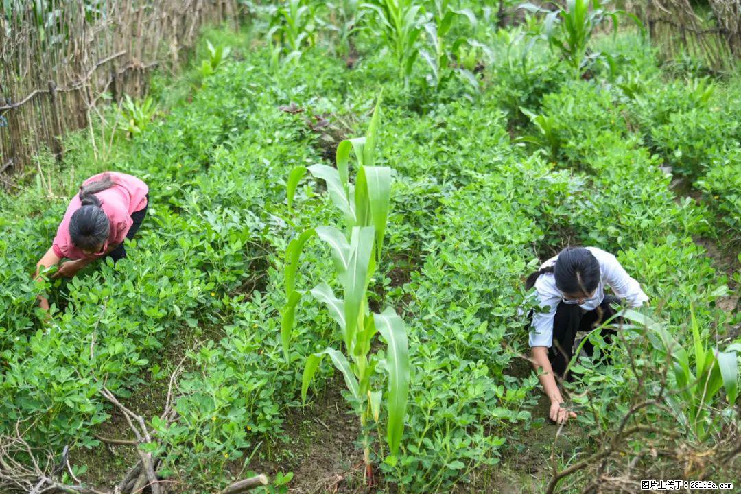 全网追的“扁担女孩”,找了一份暑假工,时薪12元 - 镇江生活资讯 - 镇江28生活网 zj.28life.com