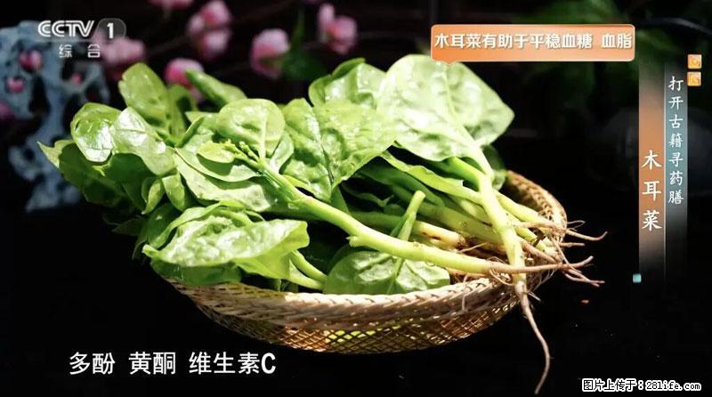 比牛奶补钙还厉害!凉血解毒、稳血糖...这菜冬天必吃,很多人却当草 - 镇江生活资讯 - 镇江28生活网 zj.28life.com