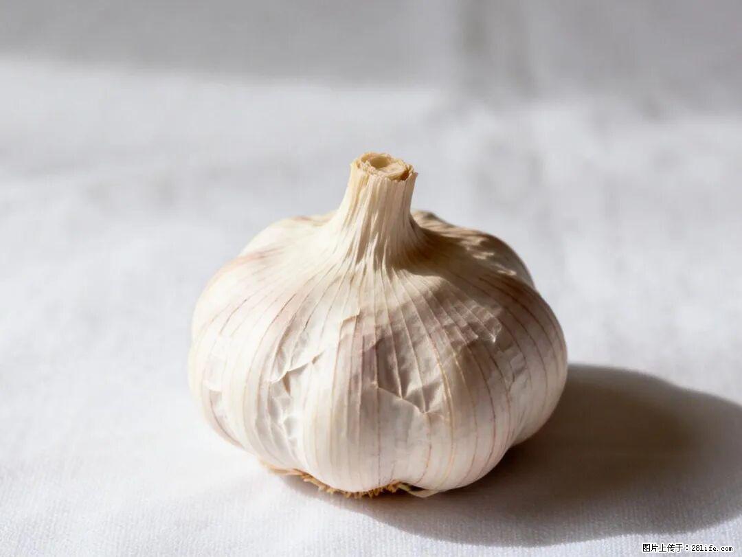 关于大蒜，除了“天然抗生素”，这4个谣言更该警惕! - 镇江生活资讯 - 镇江28生活网 zj.28life.com