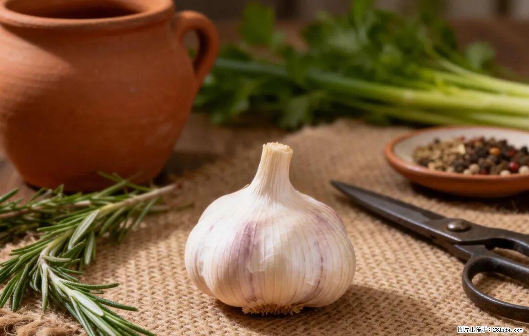 关于大蒜，除了“天然抗生素”，这4个谣言更该警惕! - 镇江生活资讯 - 镇江28生活网 zj.28life.com