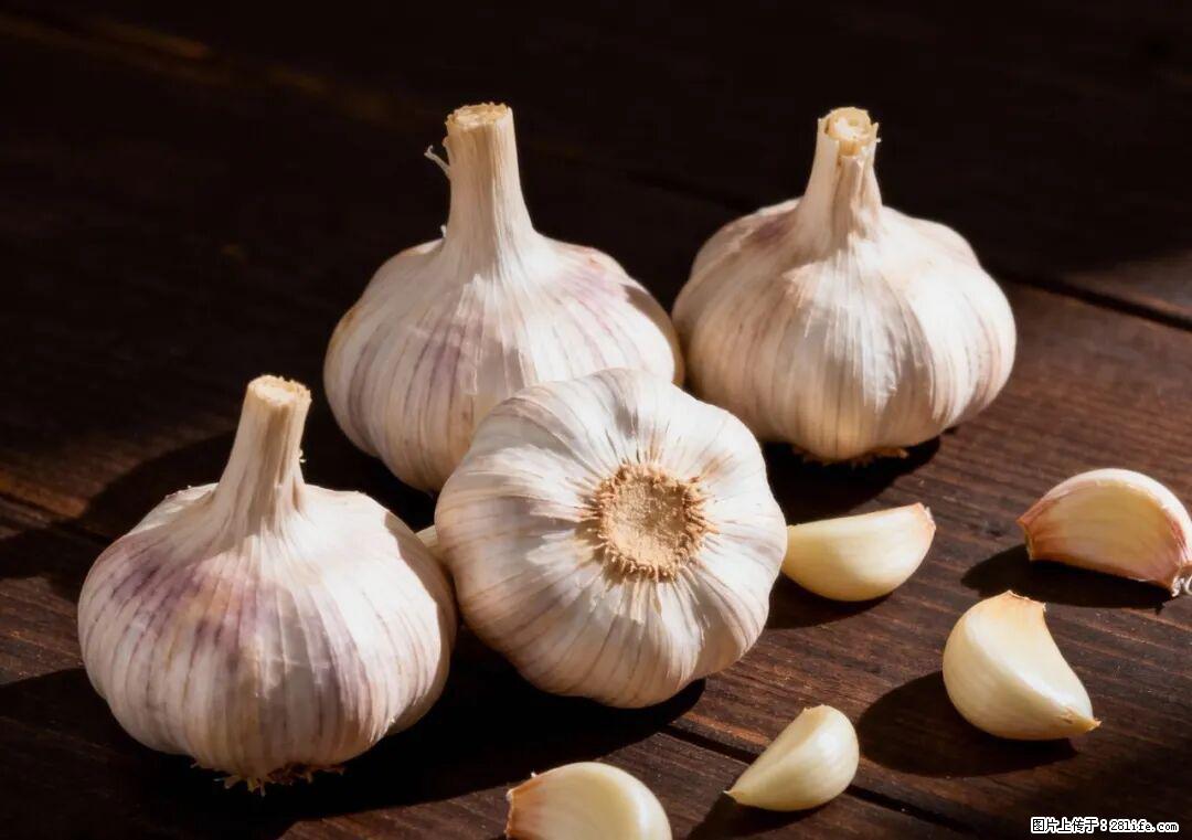 关于大蒜，除了“天然抗生素”，这4个谣言更该警惕! - 镇江生活资讯 - 镇江28生活网 zj.28life.com