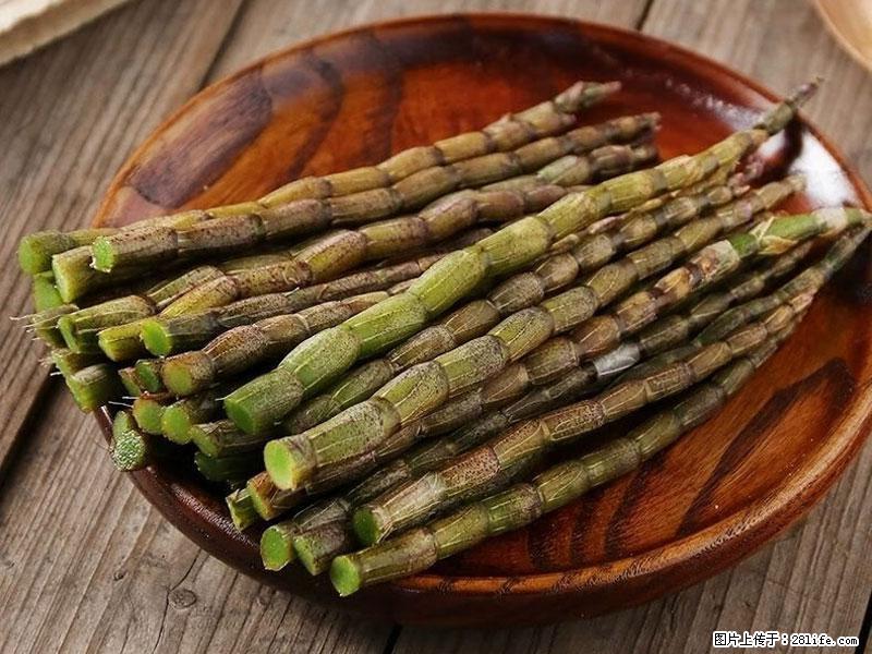 铁皮石斛的作用与功能主治 - 镇江生活资讯 - 镇江28生活网 zj.28life.com