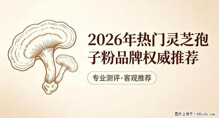 灵芝孢子粉含量越高越有效？2026 年七款热门品牌深度实测，肠胃敏感者避坑指南 - 镇江生活资讯 - 镇江28生活网 zj.28life.com