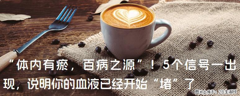 “体内有瘀，百病之源”！5个信号一出现，说明你的血液已经开始“堵”了 - 镇江生活资讯 - 镇江28生活网 zj.28life.com